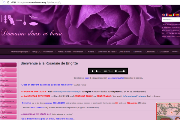 Migration Joomla 3 vers 4